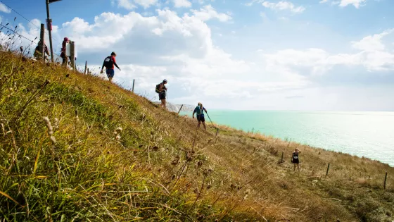 Walkers in  a field with sea in the background