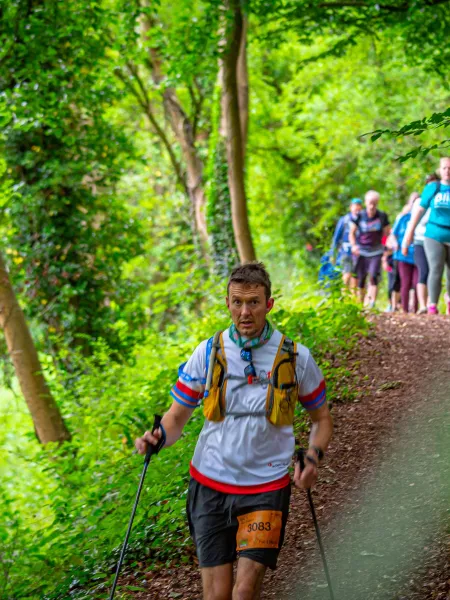 Walkers in tree line path