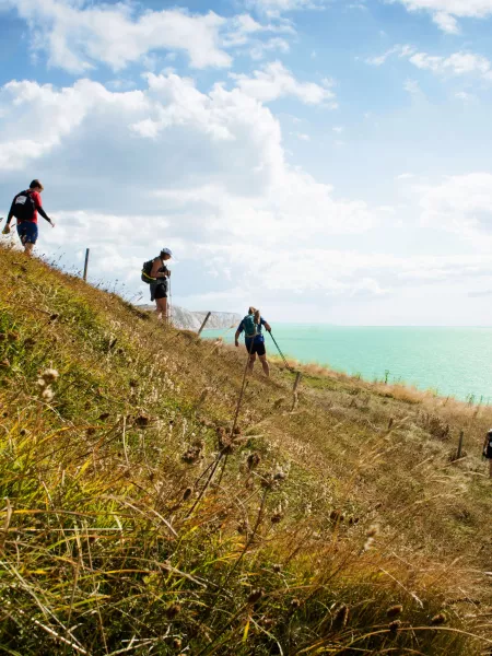 A group of hikers climb down a grassy seaside hill.